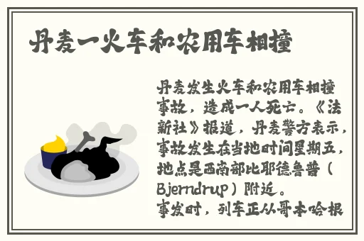 国产精品视频免费的
